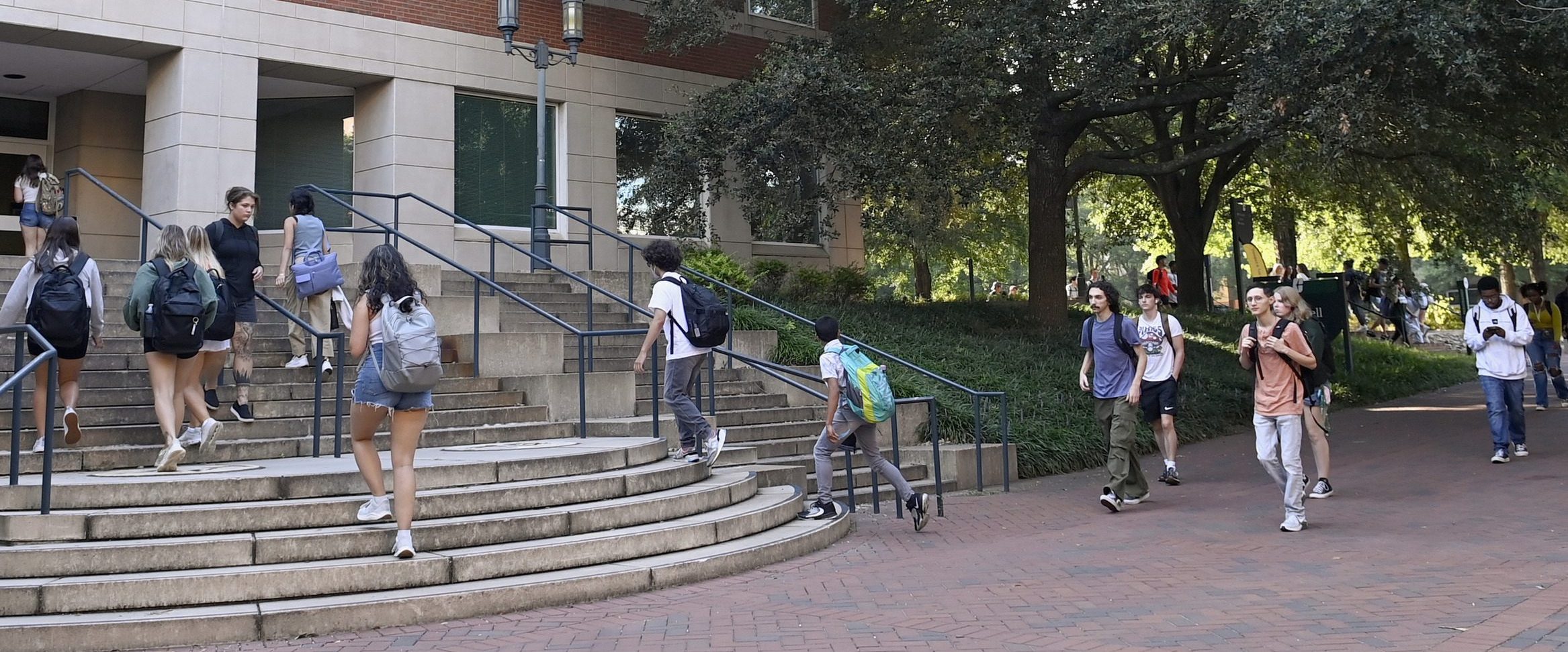 Applied Linguistics Graduate Certificate Academics